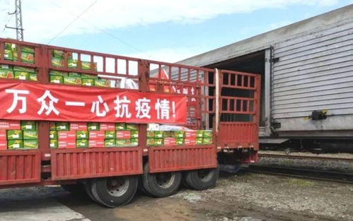 上海到渭南市货运运输冷链信息物流公司