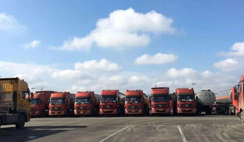 最新 危险货物道路运输管理规定 修订征求意见